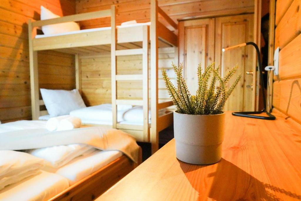 Edelweiss Lodge Lachtal I Self Check-In Luaran gambar